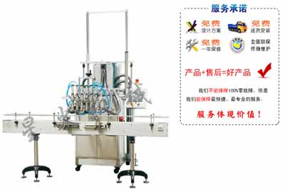 石家莊大顆粒紅棗醬灌裝機(jī)種類(lèi)、功能、用途